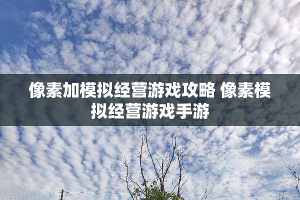 像素加模拟经营游戏攻略 像素模拟经营游戏手游