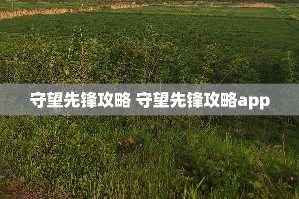 守望先锋攻略 守望先锋攻略app