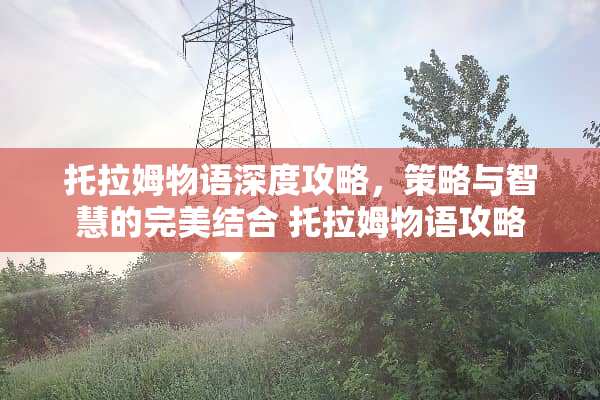 托拉姆物语深度攻略，策略与智慧的完美结合 托拉姆物语攻略