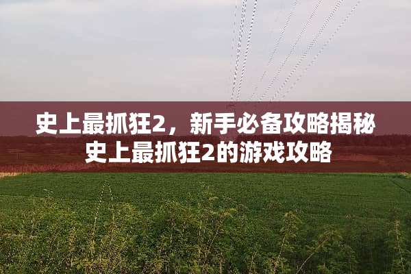 史上最抓狂2，新手必备攻略揭秘 史上最抓狂2的游戏攻略