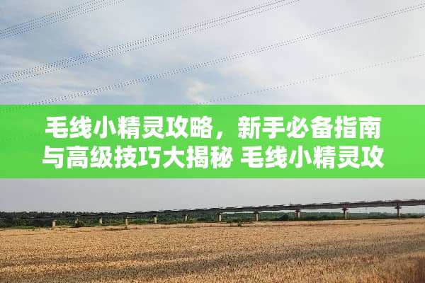 毛线小精灵攻略，新手必备指南与高级技巧大揭秘 毛线小精灵攻略
