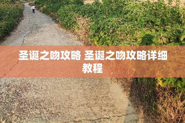 圣诞之吻攻略 圣诞之吻攻略详细教程