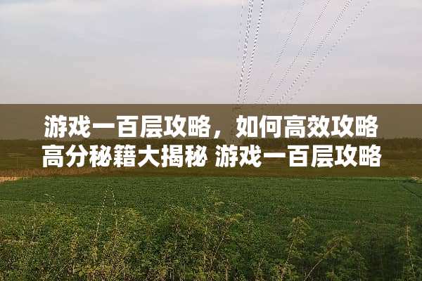 游戏一百层攻略，如何高效攻略高分秘籍大揭秘 游戏一百层攻略