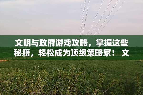 文明与**游戏攻略，掌握这些秘籍，轻松成为**策略家！ 文明与**游戏攻略软件
