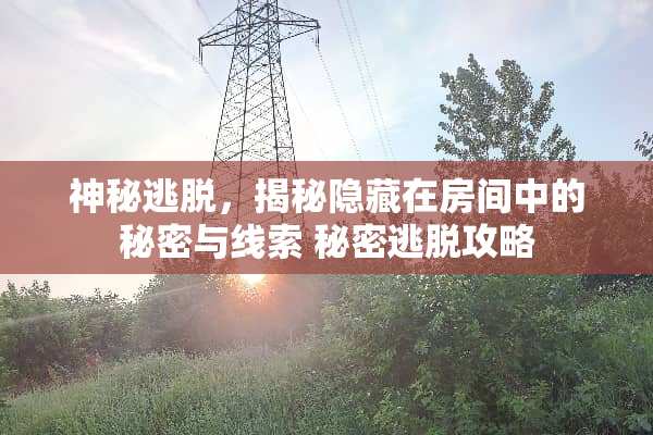 神秘逃脱，揭秘隐藏在房间中的秘密与线索 秘密逃脱攻略
