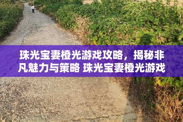 珠光宝妻橙光游戏攻略，揭秘非凡魅力与策略 珠光宝妻橙光游戏攻略