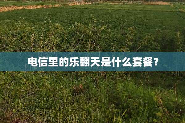 电信里的乐翻天是什么套餐？