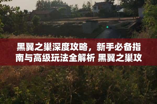 黑翼之巢深度攻略，新手必备指南与高级玩法全解析 黑翼之巢攻略