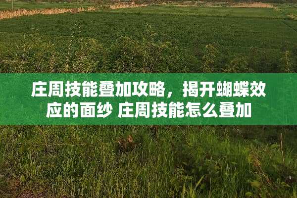庄周技能叠加攻略，揭开蝴蝶效应的面纱 庄周技能怎么叠加