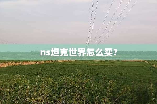 ns坦克世界怎么买？