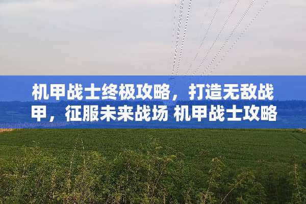 机甲战士终极攻略，打造无敌战甲，征服未来战场 机甲战士攻略