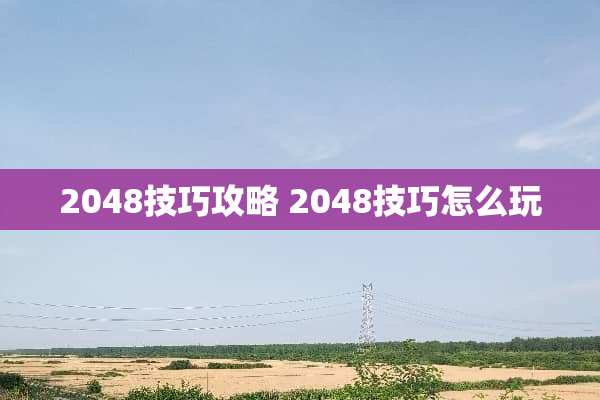 2048技巧攻略 2048技巧怎么玩
