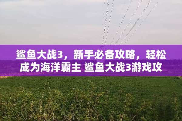 鲨鱼大战3，新手必备攻略，轻松成为海洋霸主 鲨鱼大战3游戏攻略