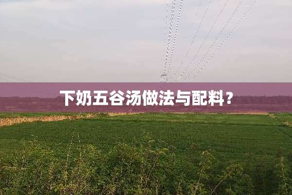 下奶五谷汤做法与配料？