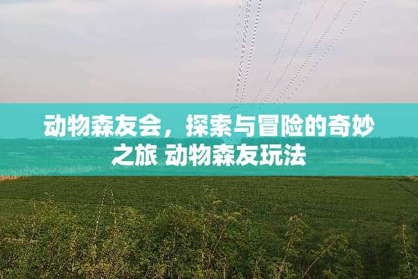 动物森友会，探索与冒险的奇妙之旅 动物森友玩法