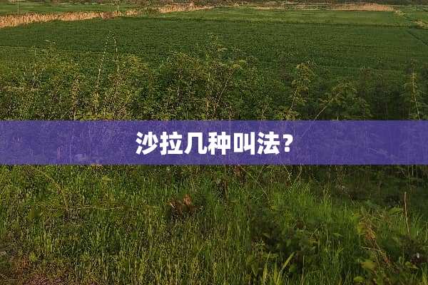 沙拉几种叫法？
