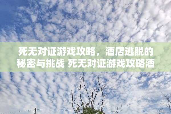 死无对证游戏攻略，酒店逃脱的秘密与挑战 死无对证游戏攻略酒店
