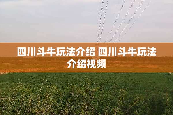 四川斗牛玩法介绍 四川斗牛玩法介绍视频