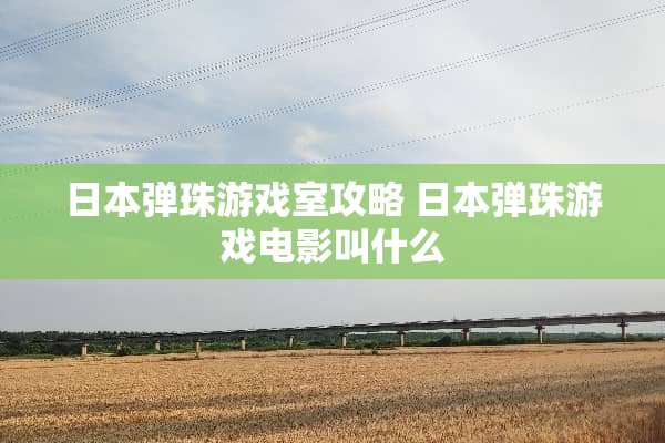 日本弹珠游戏室攻略 日本弹珠游戏电影叫什么