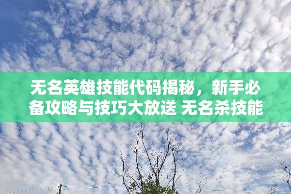 无名英雄技能代码揭秘，新手必备攻略与技巧大放送 无名杀技能代码大全