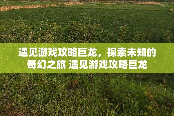 遇见游戏攻略巨龙，探索未知的奇幻之旅 遇见游戏攻略巨龙