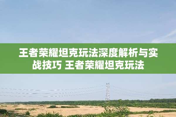 王者荣耀坦克玩法深度解析与实战技巧 王者荣耀坦克玩法