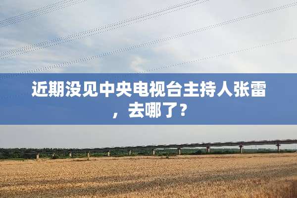 近期没见**电视台主持人张雷，去哪了？