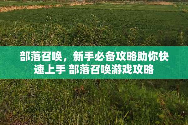 部落召唤，新手必备攻略助你快速上手 部落召唤游戏攻略