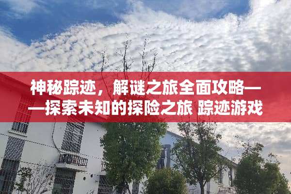 神秘踪迹，解谜之旅全面攻略——探索未知的探险之旅 踪迹游戏攻略