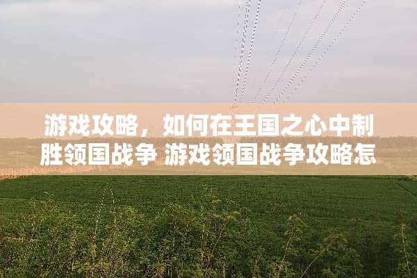 游戏攻略，如何在王国之心中制胜领国战争 游戏领国战争攻略怎么玩