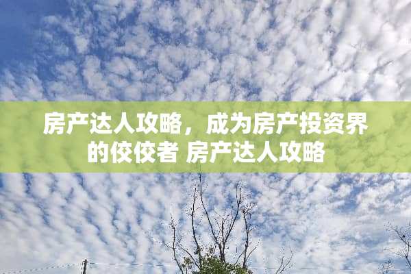 房产达人攻略，成为房产投资界的佼佼者 房产达人攻略