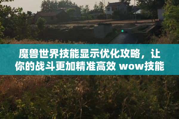 魔兽世界技能显示优化攻略，让你的战斗更加精准高效 wow技能显示
