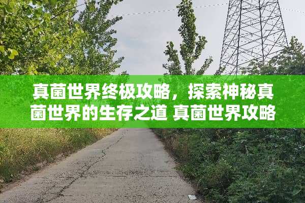 真菌世界终极攻略，探索神秘真菌世界的生存之道 真菌世界攻略