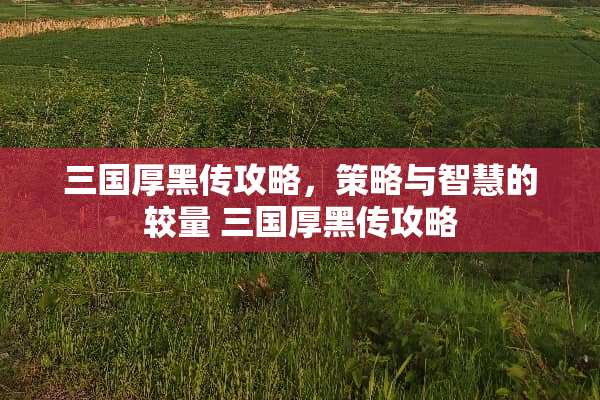 三国厚黑传攻略，策略与智慧的较量 三国厚黑传攻略