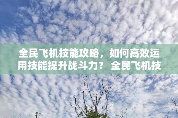 全民飞机技能攻略，如何高效运用技能提升战斗力？ 全民飞机技能
