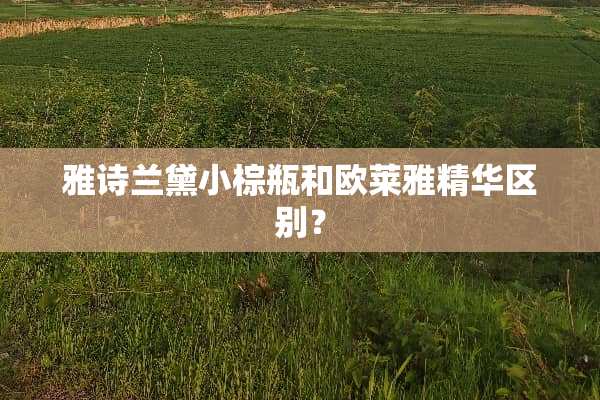 雅诗兰黛小棕瓶和欧莱雅精华区别？