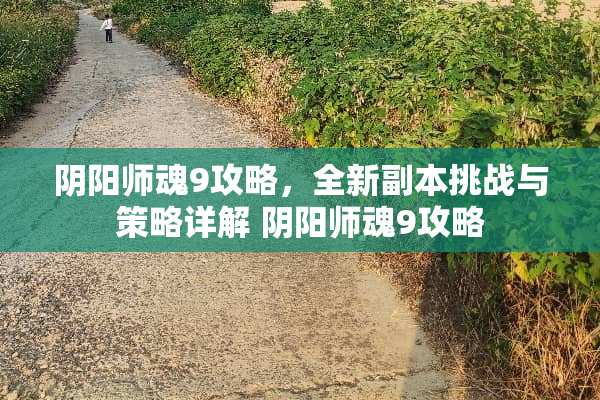 *阳师魂9攻略，全新副本挑战与策略详解*阳师魂9攻略