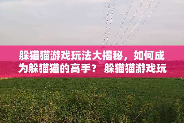 ***游戏玩法大揭秘，如何成为***的高手？***游戏玩法