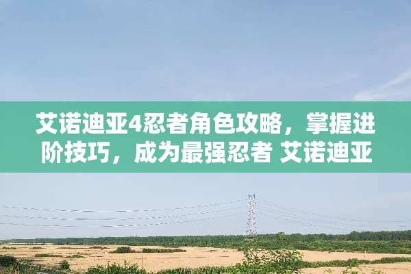 艾诺迪亚4忍者角色攻略，掌握进阶技巧，成为最强忍者 艾诺迪亚4攻略忍者