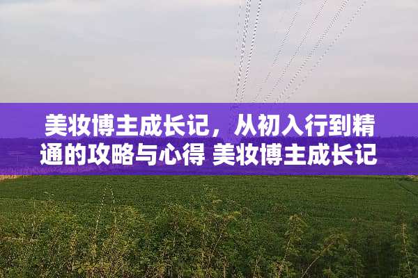 美妆博主成长记，从初入行到精通的攻略与心得 美妆博主成长记攻略