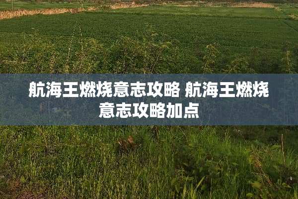 航海王燃烧意志攻略 航海王燃烧意志攻略加点