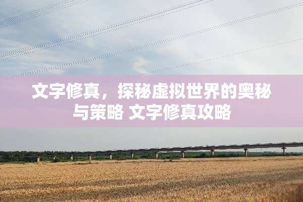 文字修真，探秘虚拟世界的奥秘与策略 文字修真攻略