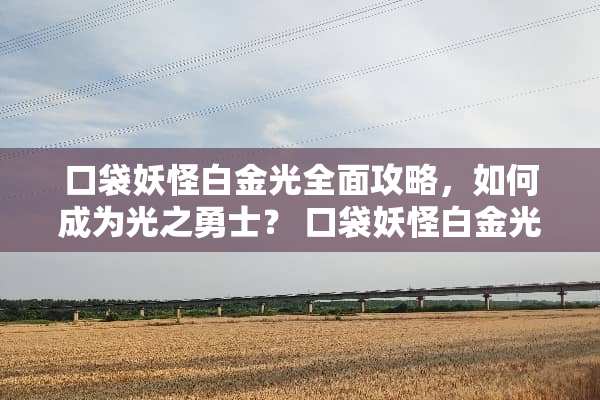 口袋妖怪白金光全面攻略，如何成为光之勇士？ 口袋妖怪白金光攻略