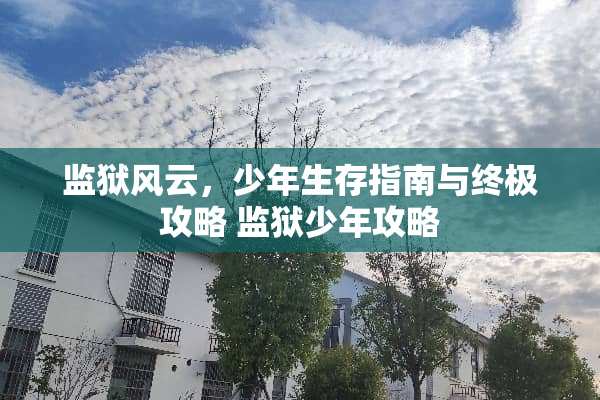 监狱风云，少年生存指南与终极攻略 监狱少年攻略