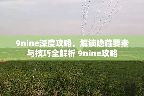 9nine深度攻略，解锁隐藏要素与技巧全解析 9nine攻略