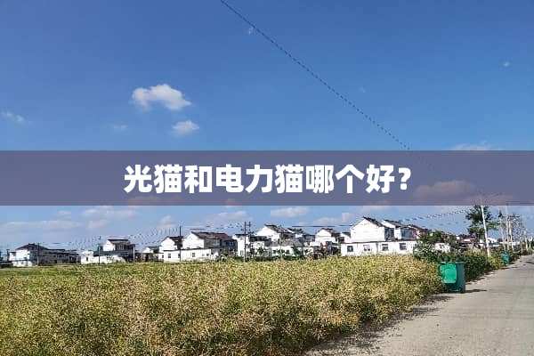 光猫和电力猫哪个好？