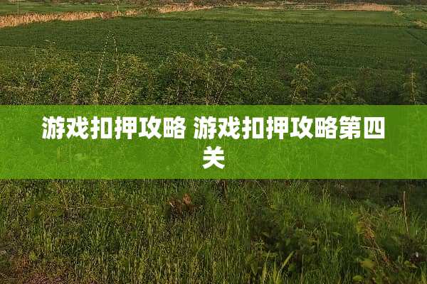 游戏扣押攻略 游戏扣押攻略第四关