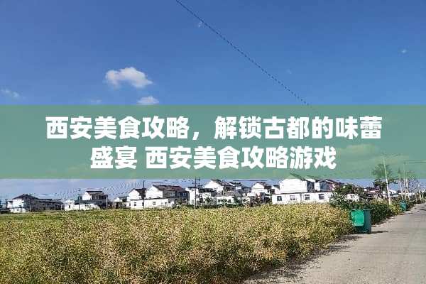 西安美食攻略，解锁古都的味蕾盛宴 西安美食攻略游戏
