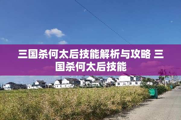 三国杀何太后技能解析与攻略 三国杀何太后技能