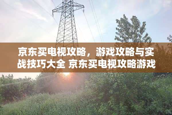 京东买电视攻略，游戏攻略与实战技巧大全 京东买电视攻略游戏